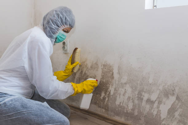 Hackettstown, NJ Mold Remediation Company