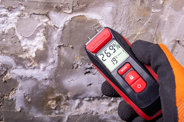 Best Residential Mold Remediation in Hackettstown, NJ