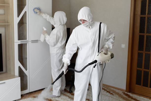Best White Mold Remediation in Hackettstown, NJ