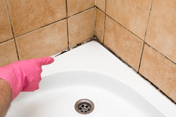 Best HVAC Mold Remediation in Hackettstown, NJ